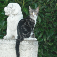 Photo #179392 de Easy