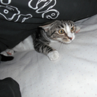 Photo #179396 de Easy