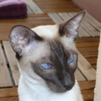 P1000028