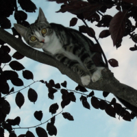Photo #179414 de Easy