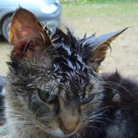 Photo #179431 de Titou