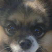 Photo #179475 de Happy
