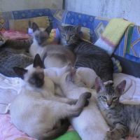 Photo #179502 de Only