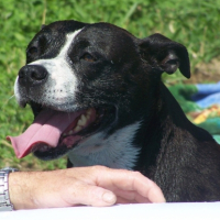 Photo #179548 de Uchka