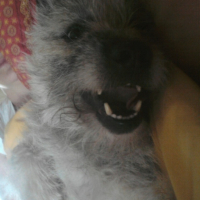 Photo0013