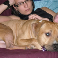 Photo #179714 de Brako
