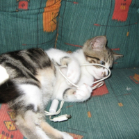 Photo #179811 de Eliot
