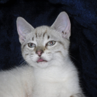 Photo #179813 de Vladimir