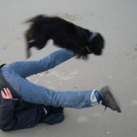 Photo #179831 de Heidi