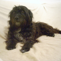 Photo #179838 de Heidi