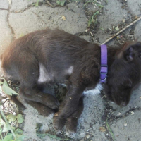 Photo #179881 de Vodka