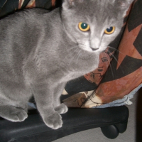 Photo #180024 de Itchy