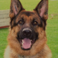 Photo #180039 de Corti