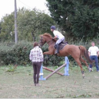 Photo #180046 de Raivery
