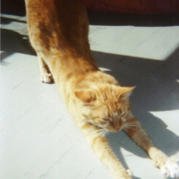 Photo #180143 de Caramel