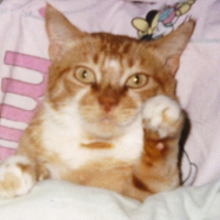 Photo #180148 de Caramel
