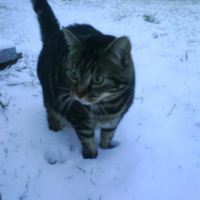 Photo #180311 de Minette
