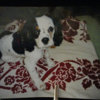 Photo #180424 de Saschka