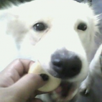 Photo #180426 de Chubbina