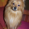 sweety