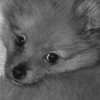 Photo #180561 de Sweety