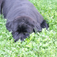 Photo #180594 de Baccara