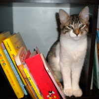 Photo #180617 de Zen