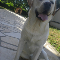 Photo #180644 de Cisko
