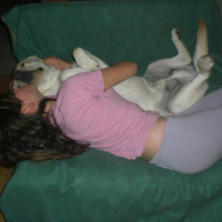 Photo #180647 de Cisko