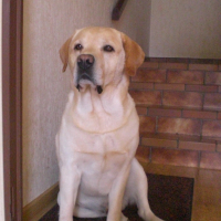 Photo #180650 de Atos