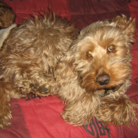Photo #180652 de Uno