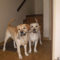 Photo #180655 de Atos