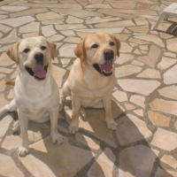 Photo #180656 de Atos