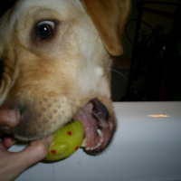 Photo #180662 de Alias