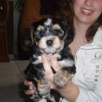Photo #180701 de Lucky