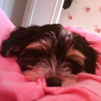 Photo #180704 de Lucky