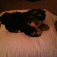 Photo #180705 de Lucky