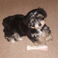 Photo #180728 de Lucky