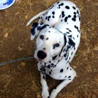 Photo #180735 de Pilou