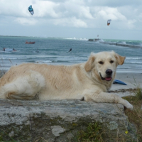 Photo #180762 de Dora