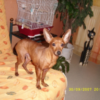 Photo #180789 de Atchoum