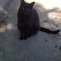 Photo #180796 de Romeo