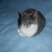 Photo #180801 de Missy