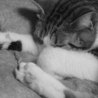 Photo #180826 de Isis