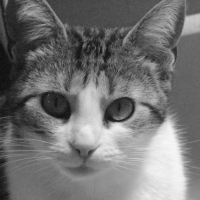 Photo #180829 de Isis