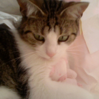 Photo #180849 de Isis