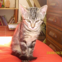 Photo #180854 de Mia