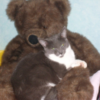 Photo #180893 de Missy