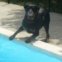 Photo #180930 de Anka