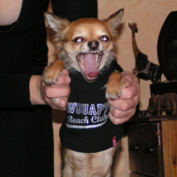 Photo #181108 de Angy